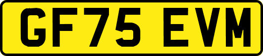 GF75EVM