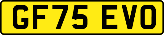 GF75EVO