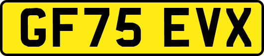 GF75EVX