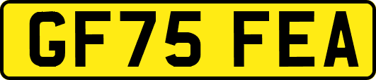 GF75FEA