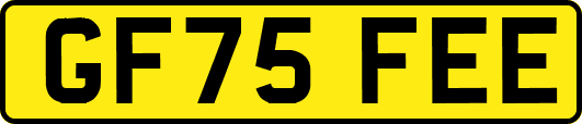 GF75FEE