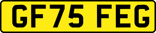 GF75FEG