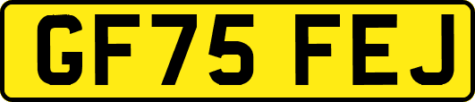 GF75FEJ