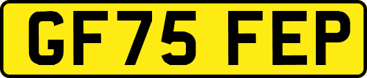 GF75FEP