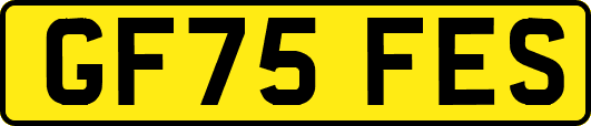GF75FES