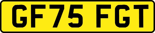 GF75FGT