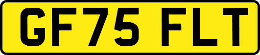 GF75FLT