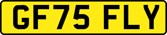 GF75FLY