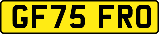 GF75FRO