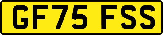 GF75FSS