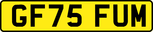 GF75FUM