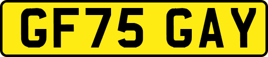 GF75GAY