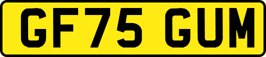 GF75GUM