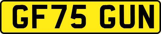 GF75GUN