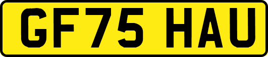 GF75HAU