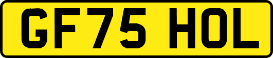 GF75HOL