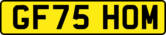 GF75HOM