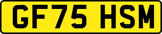 GF75HSM