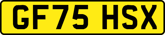 GF75HSX