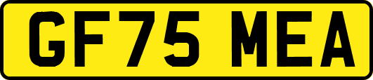 GF75MEA
