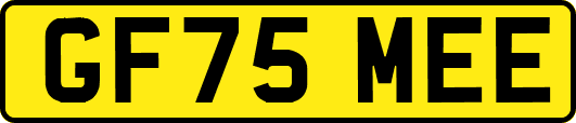GF75MEE