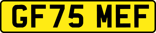 GF75MEF