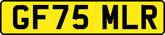 GF75MLR