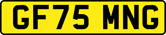 GF75MNG