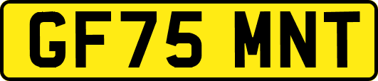 GF75MNT