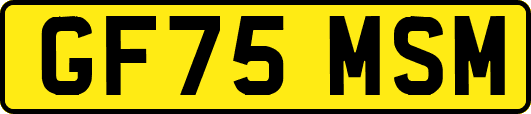 GF75MSM
