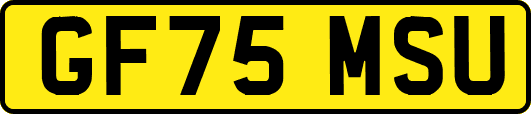 GF75MSU