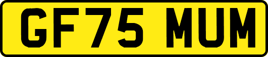 GF75MUM