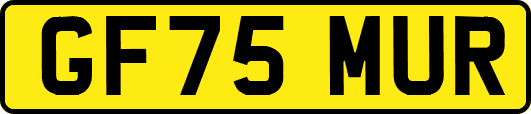 GF75MUR