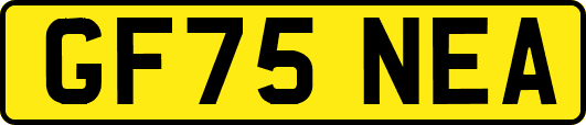 GF75NEA