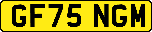 GF75NGM