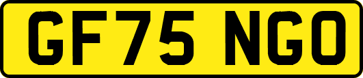 GF75NGO