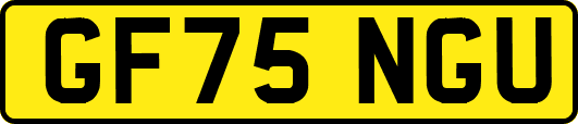 GF75NGU