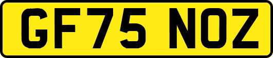 GF75NOZ