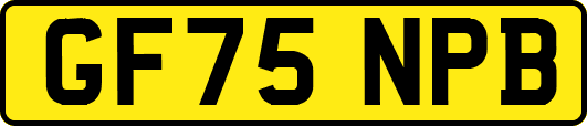 GF75NPB