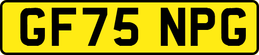 GF75NPG