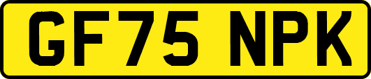 GF75NPK