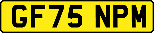 GF75NPM