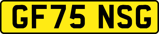 GF75NSG