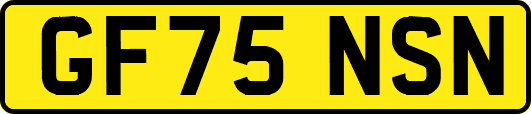 GF75NSN