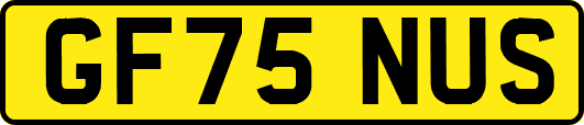 GF75NUS