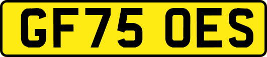 GF75OES