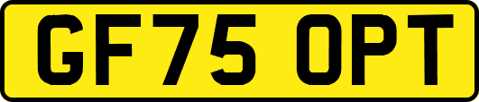 GF75OPT