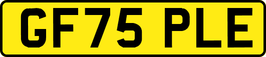GF75PLE