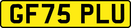 GF75PLU