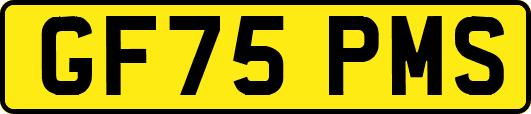 GF75PMS